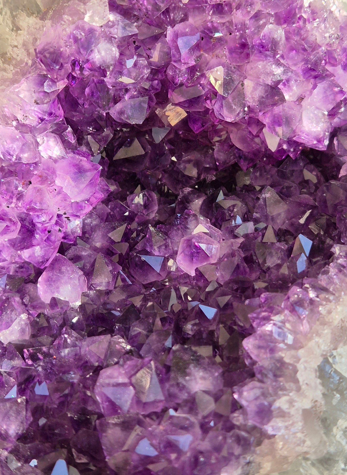 XL Amethist Geode | Uruguay A+ Kwaliteit