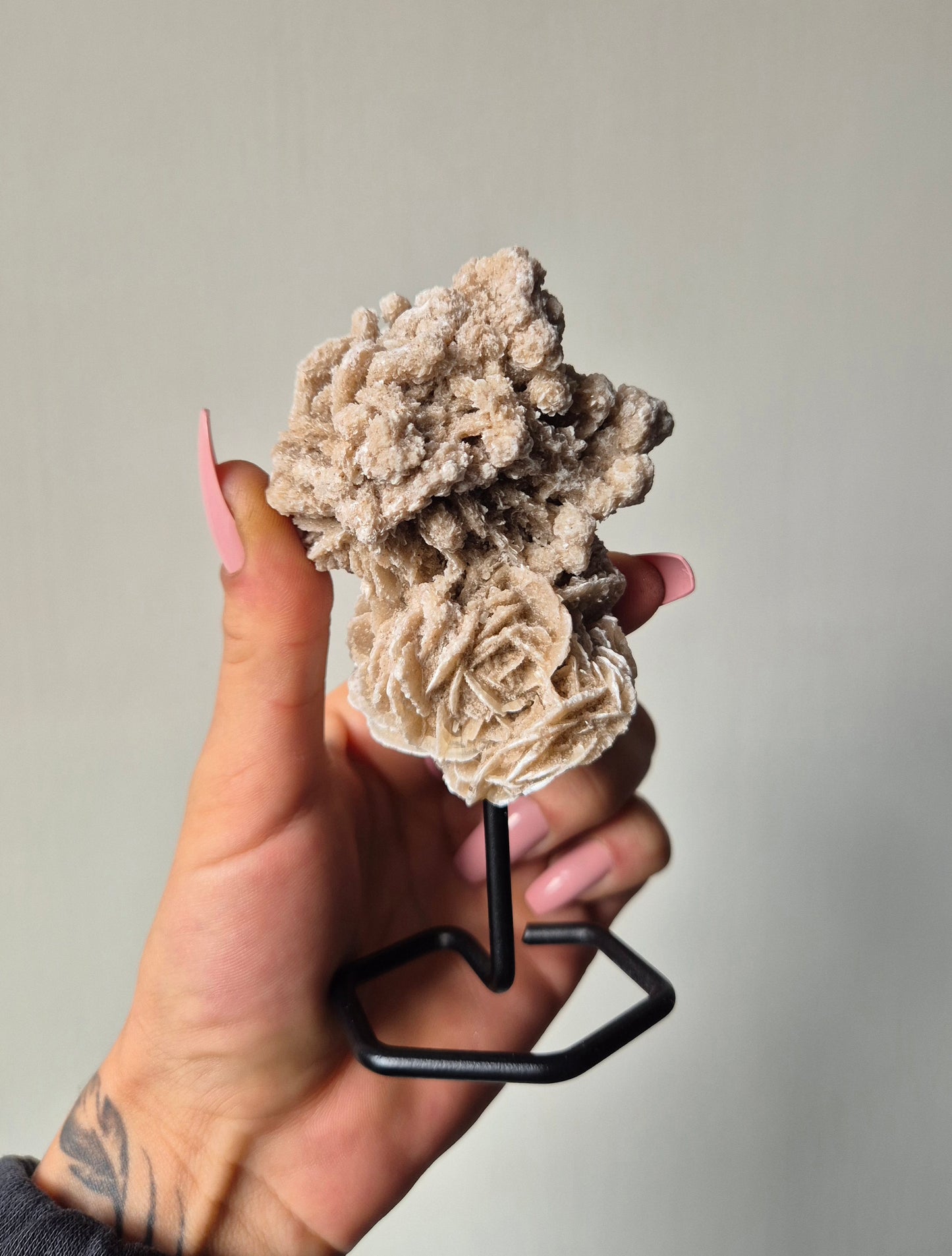 Woestijnroos op standaard