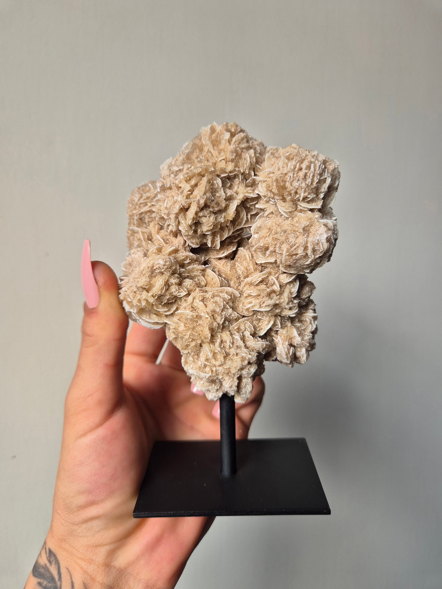 Woestijnroos op standaard