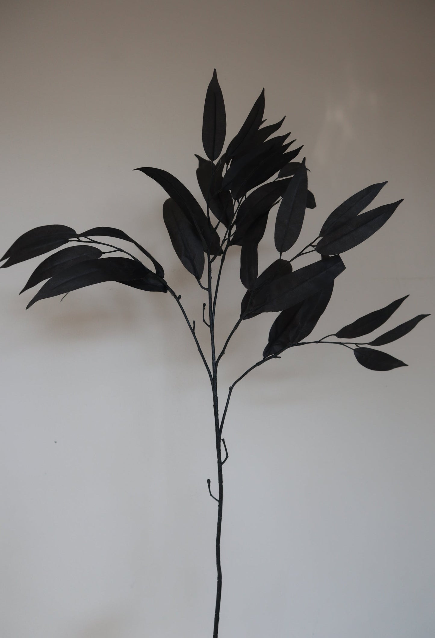 Zijden tak | Mango Leaves | 76cm | Zwart