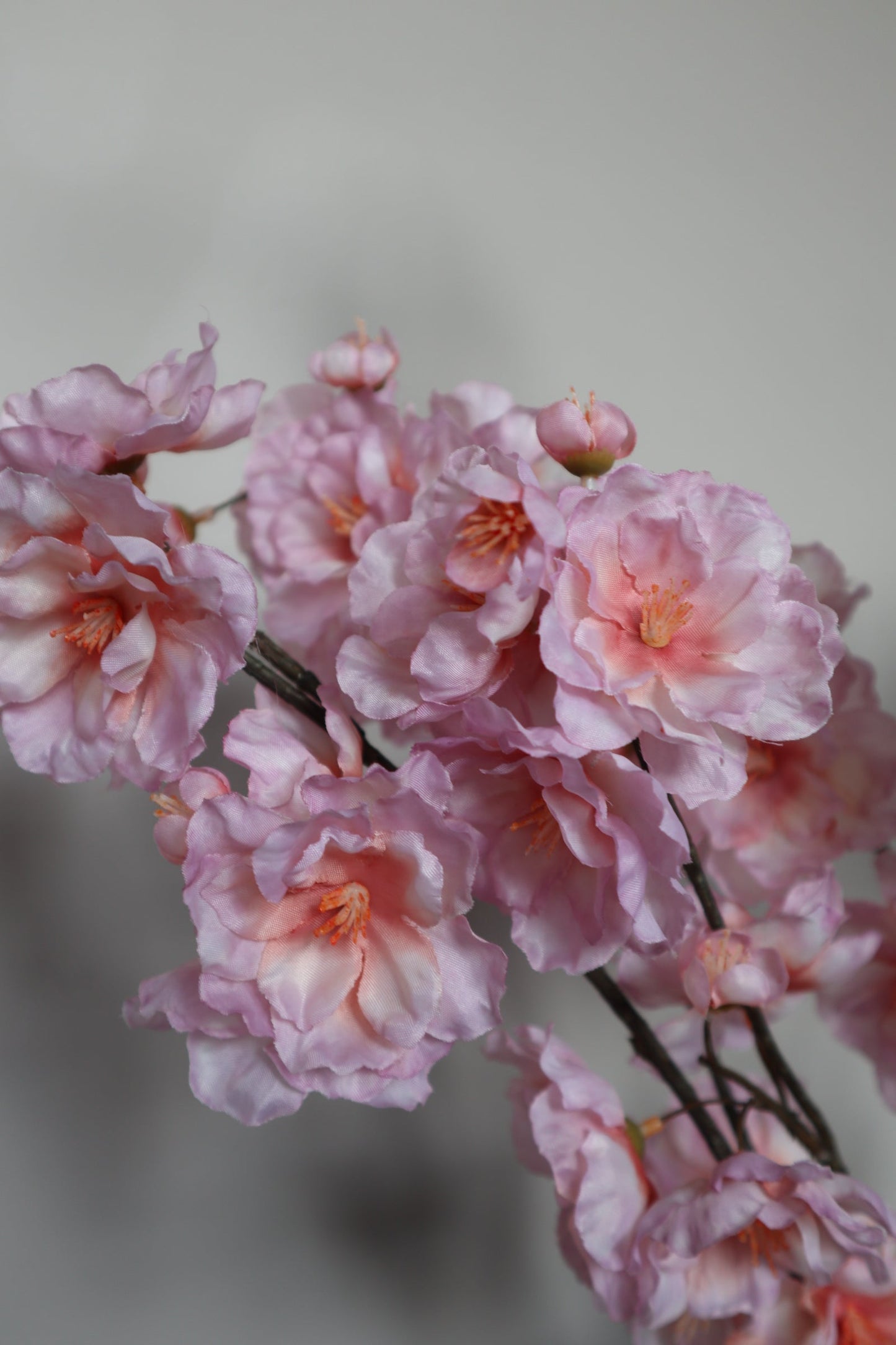 Zijden Bloesemtak | Prunus Roze 84 cm