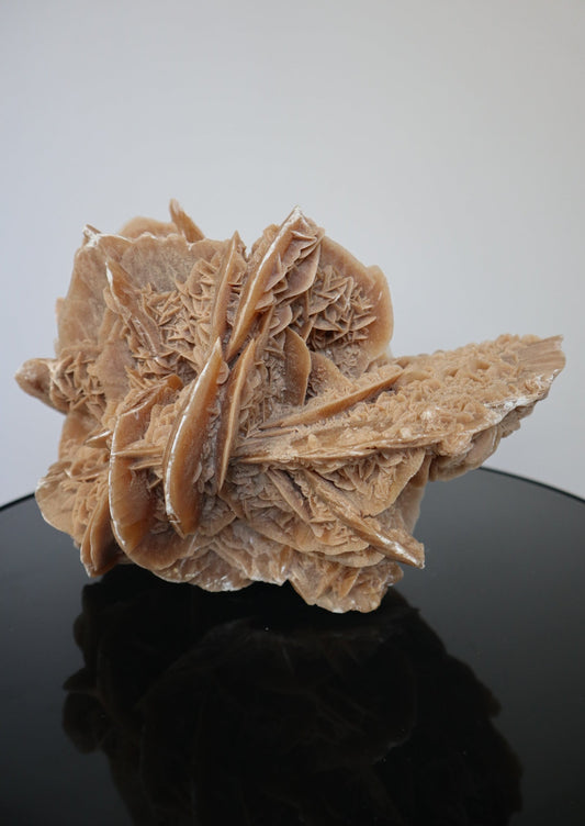 XXL Woestijnroos | 8.4KG | Interieurstuk