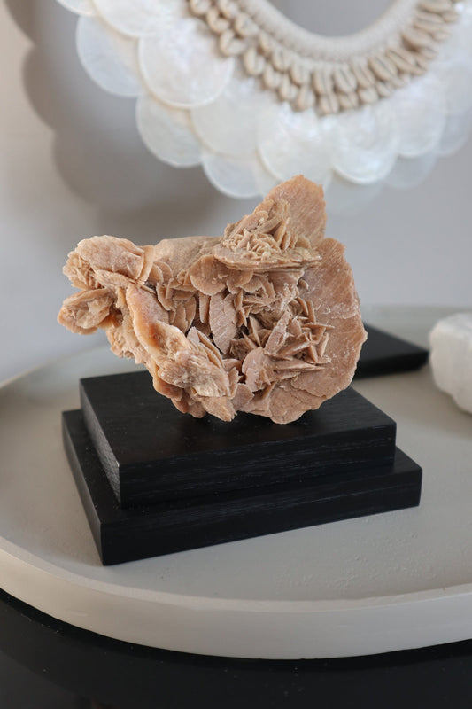 Woestijnroos met Eikenhouten Sokkel