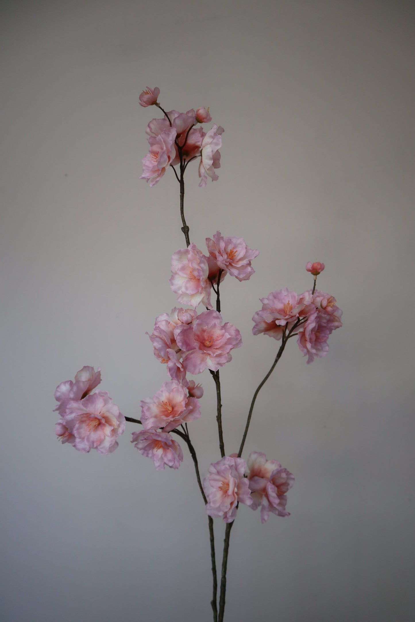 Zijden Bloesemtak | Prunus Roze 84 cm
