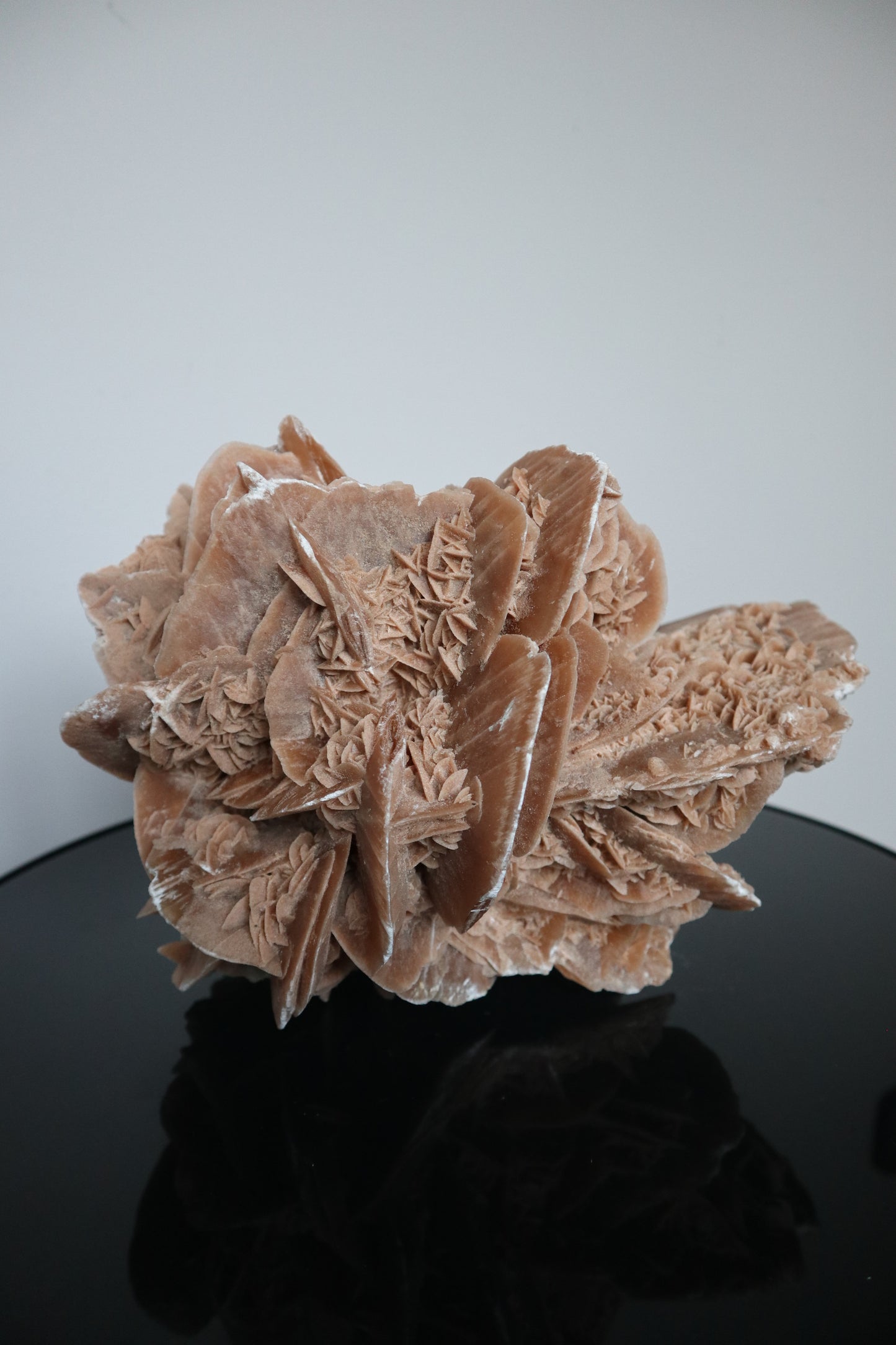 XXL Woestijnroos | 8.4KG | Interieurstuk
