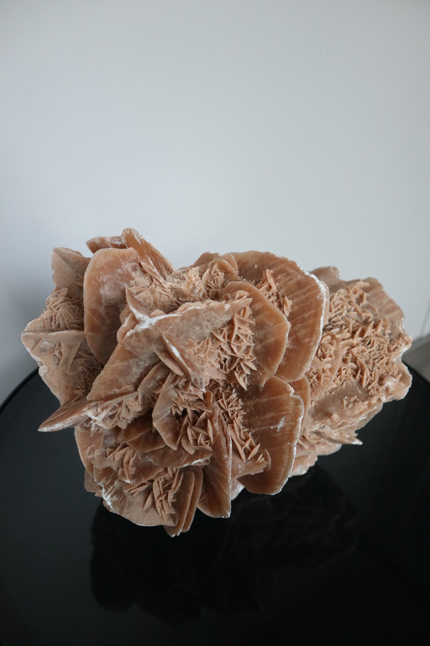 XXL Woestijnroos | 8.4KG | Interieurstuk