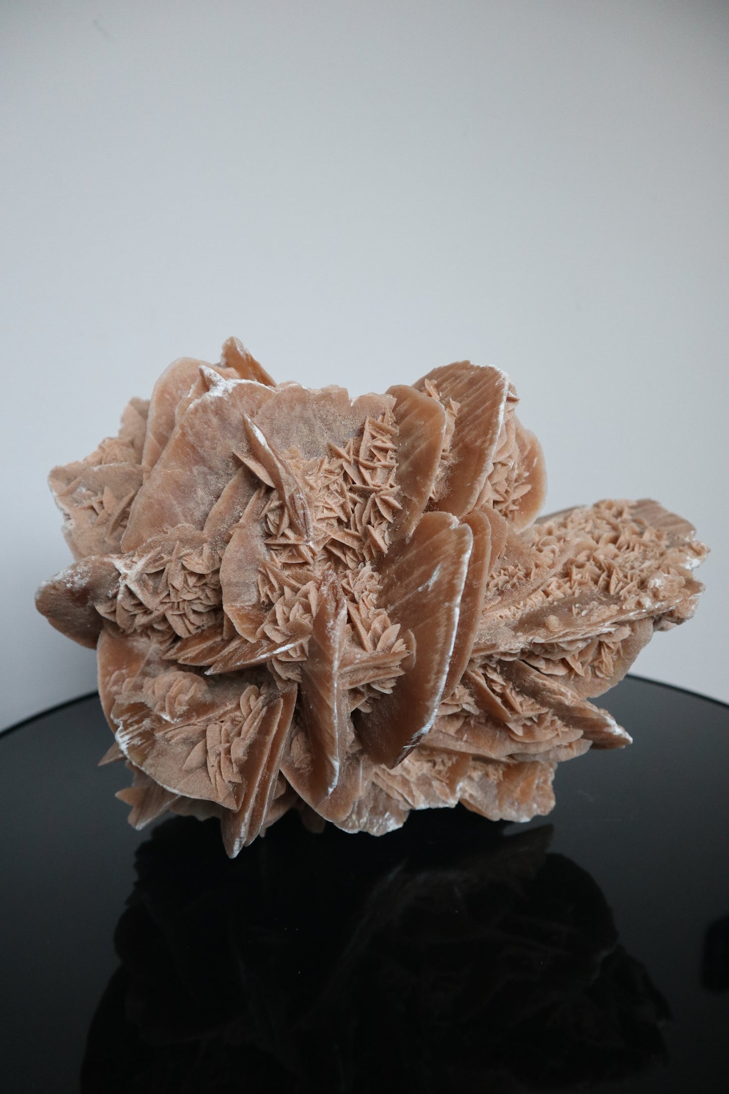 XXL Woestijnroos | 8.4KG | Interieurstuk