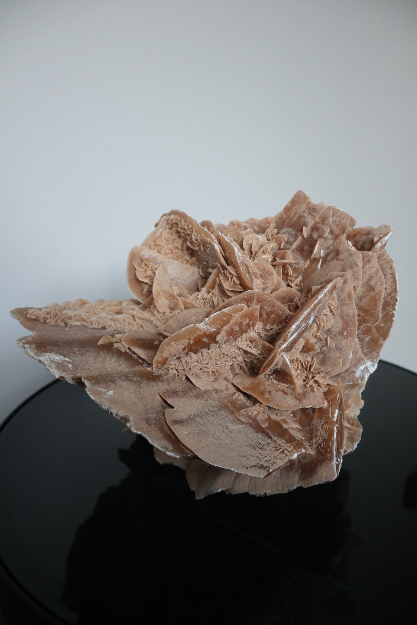 XXL Woestijnroos | 8.4KG | Interieurstuk