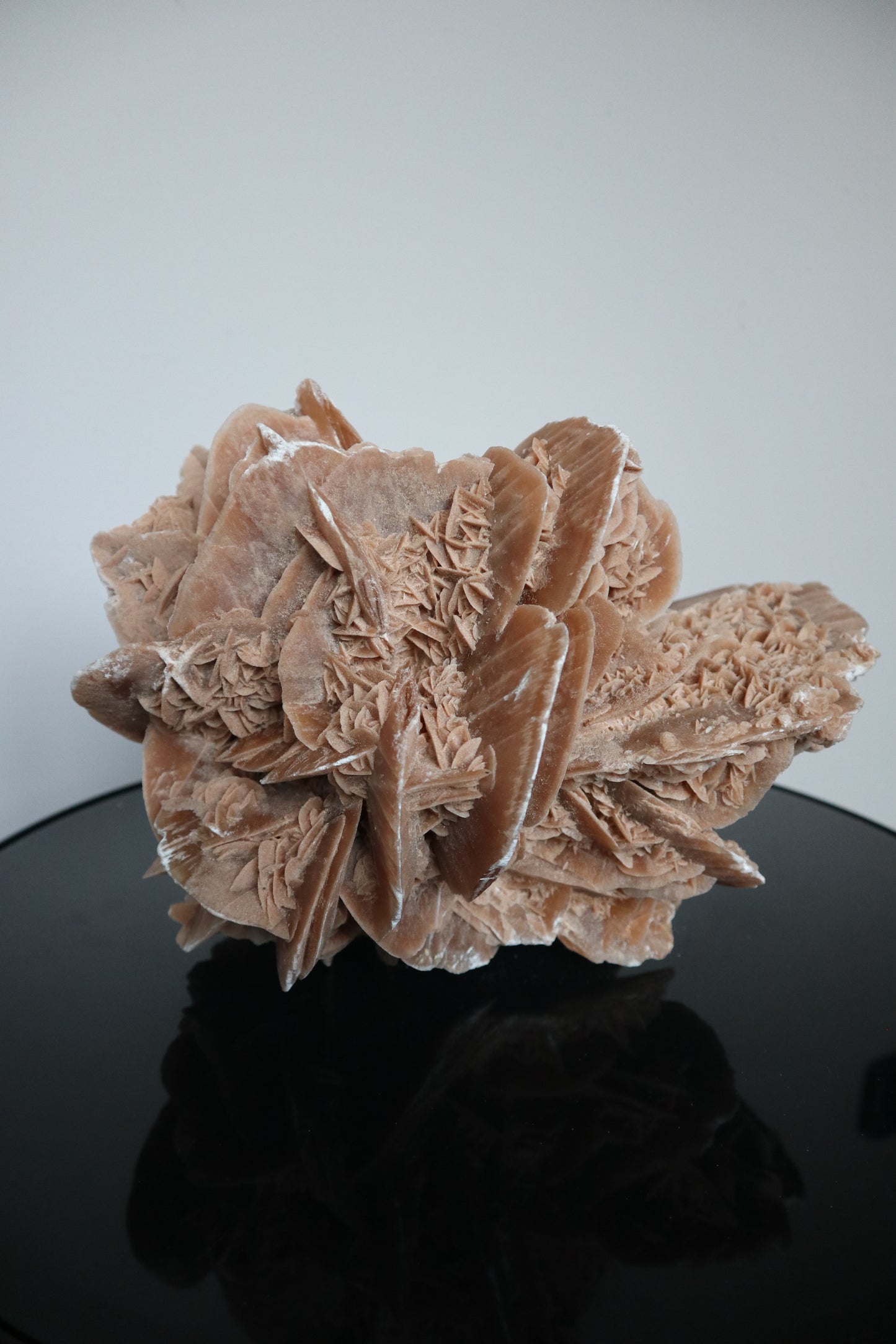 XXL Woestijnroos | 8.4KG | Interieurstuk