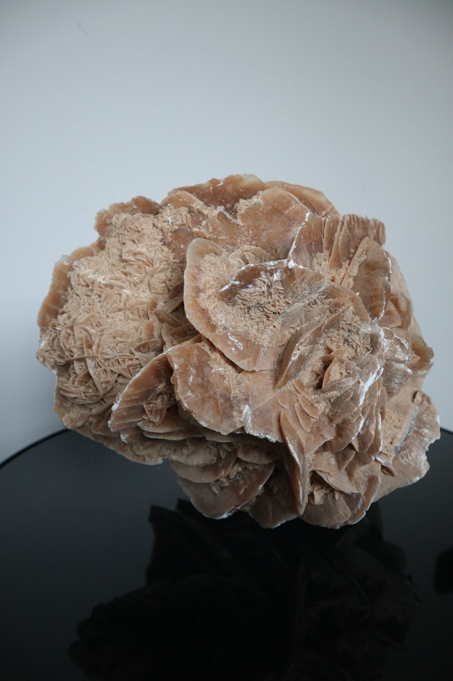 XXL Woestijnroos | 8.4KG | Interieurstuk