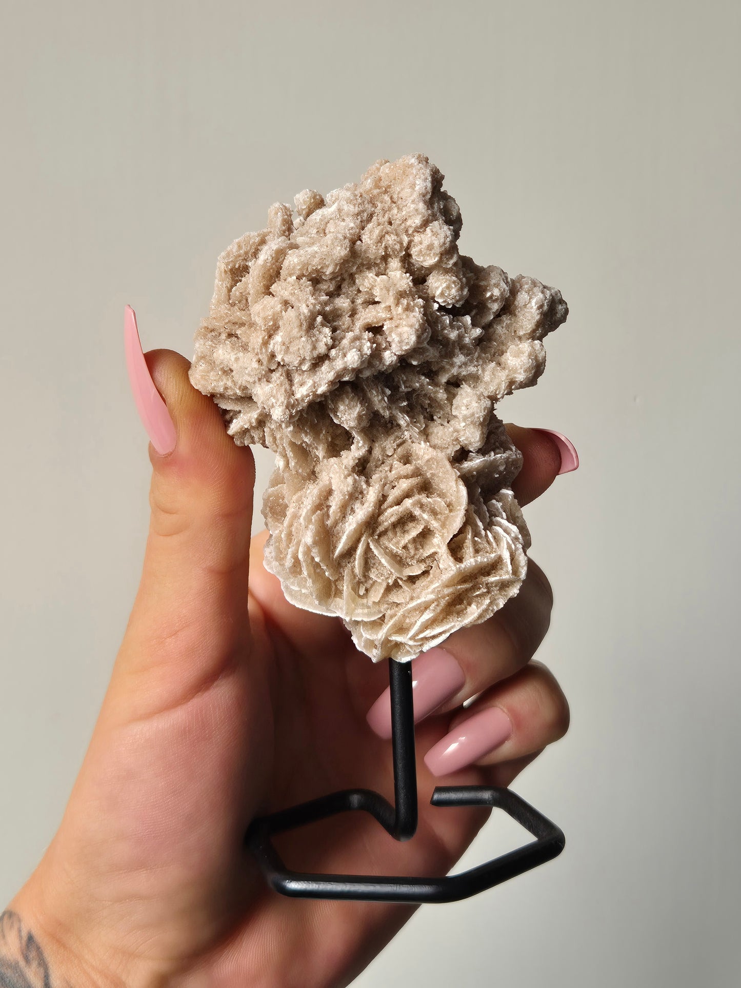 Woestijnroos op standaard