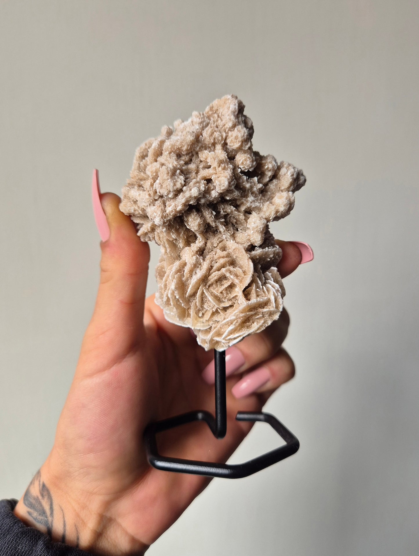 Woestijnroos op standaard