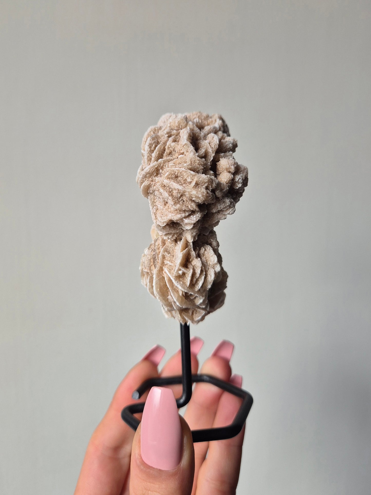 Woestijnroos op standaard