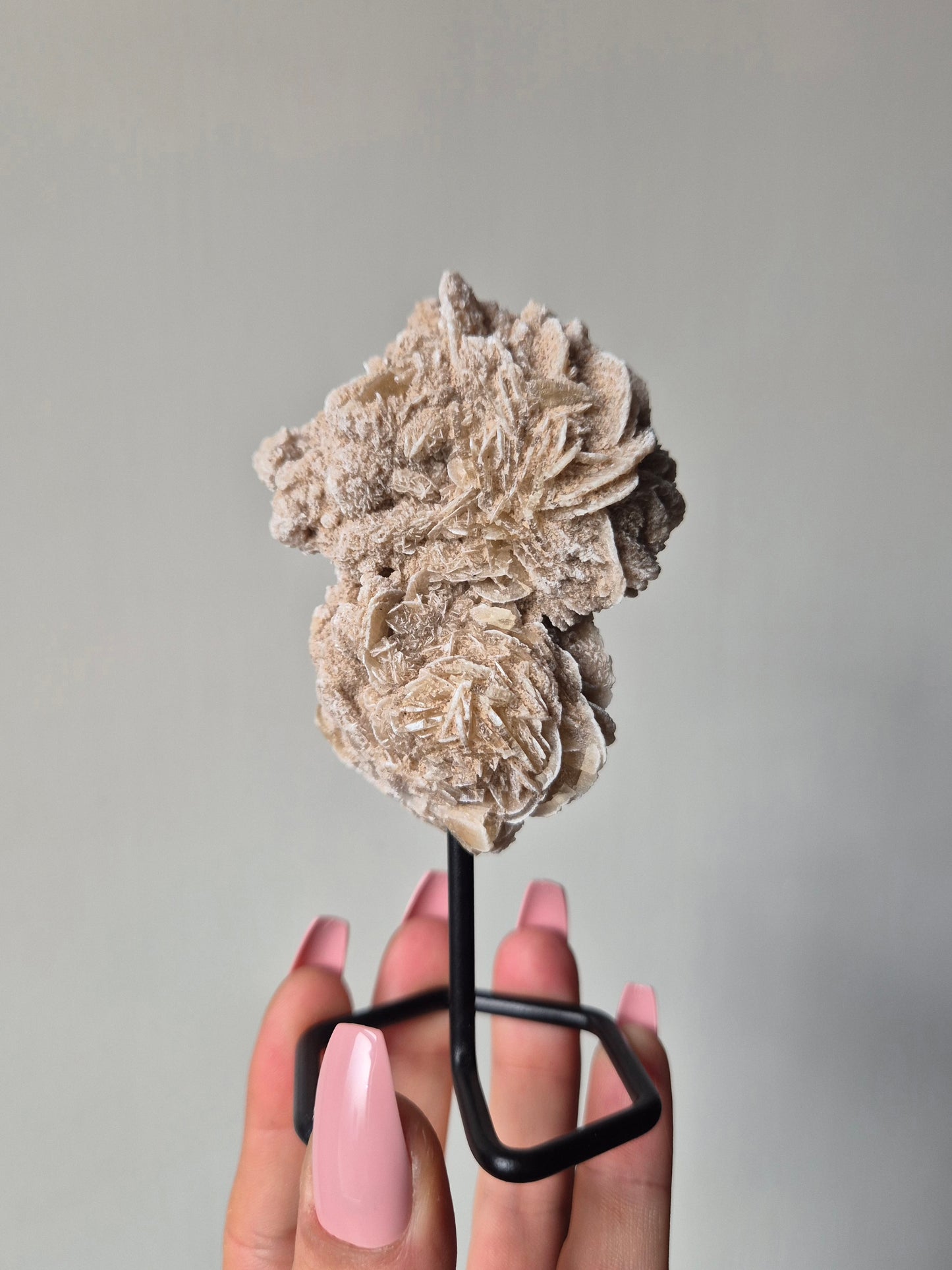 Woestijnroos op standaard