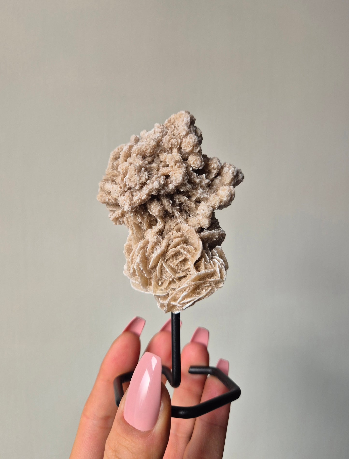 Woestijnroos op standaard