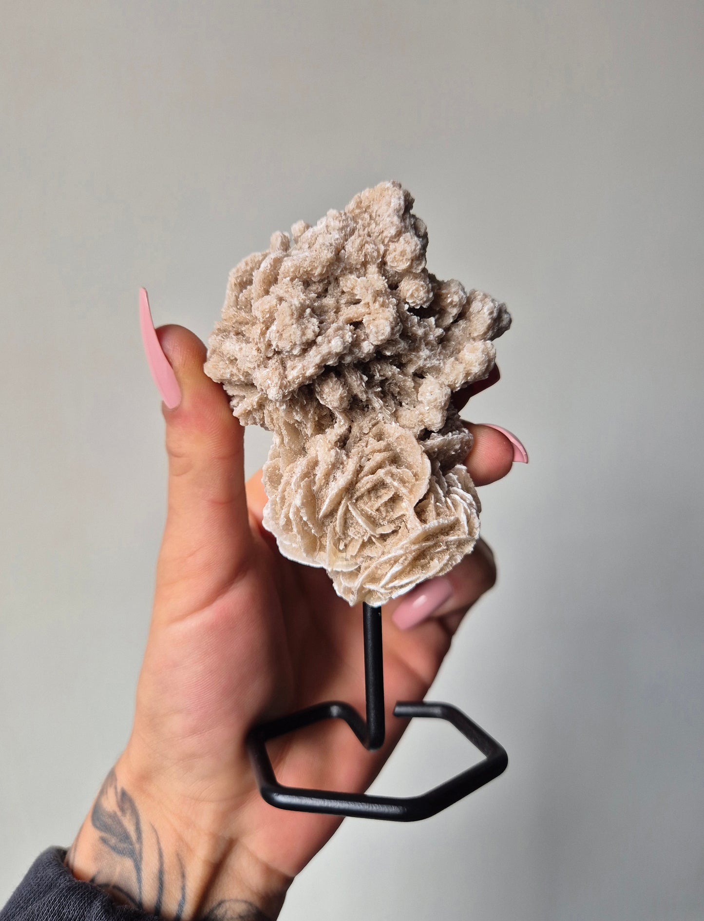 Woestijnroos op standaard