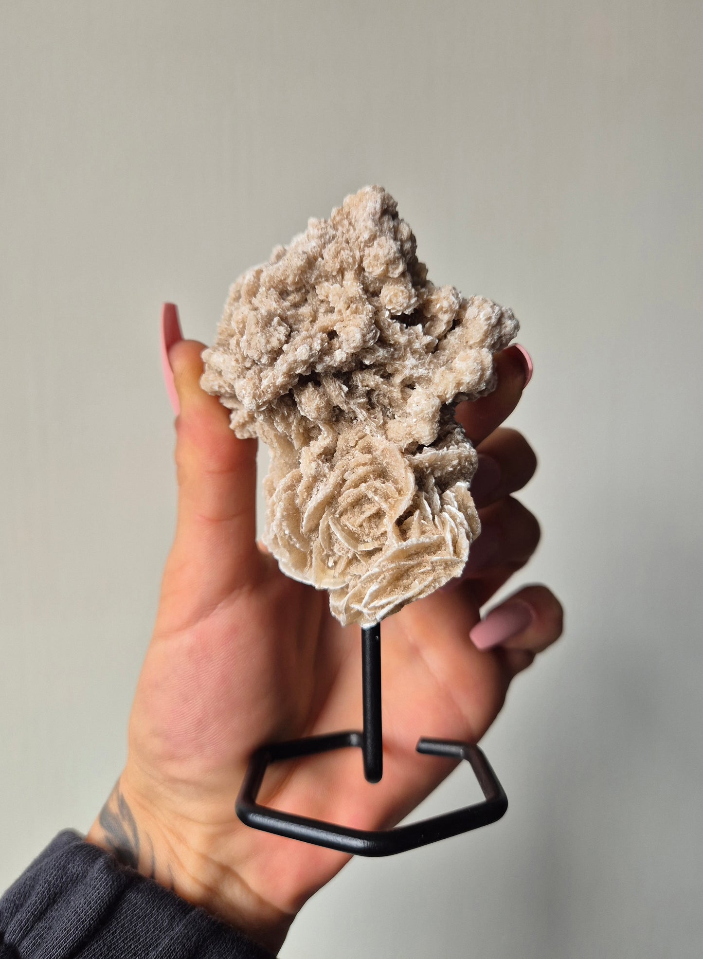 Woestijnroos op standaard