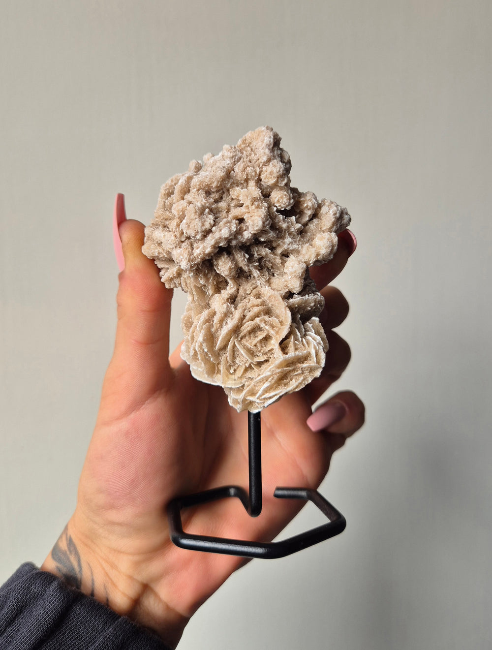 Woestijnroos op standaard