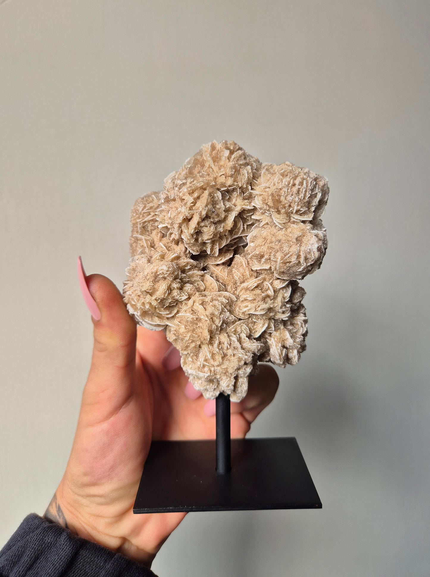 Woestijnroos op standaard