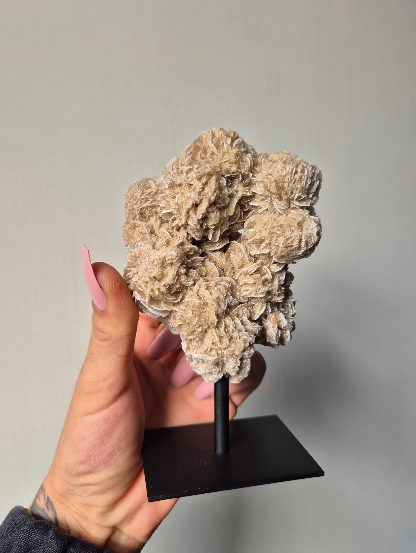 Woestijnroos op standaard