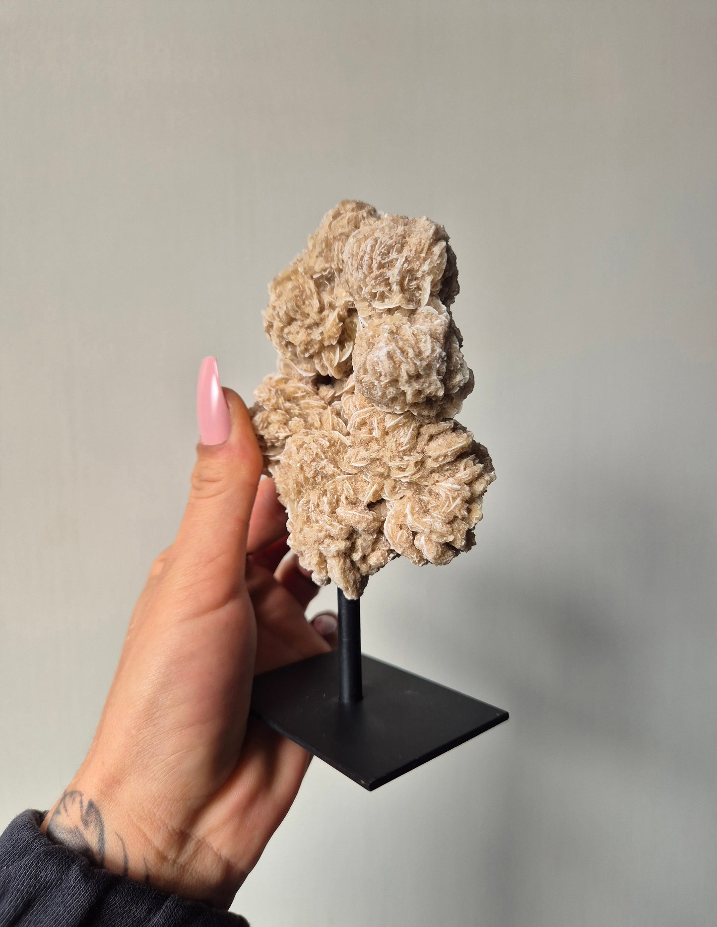 Woestijnroos op standaard