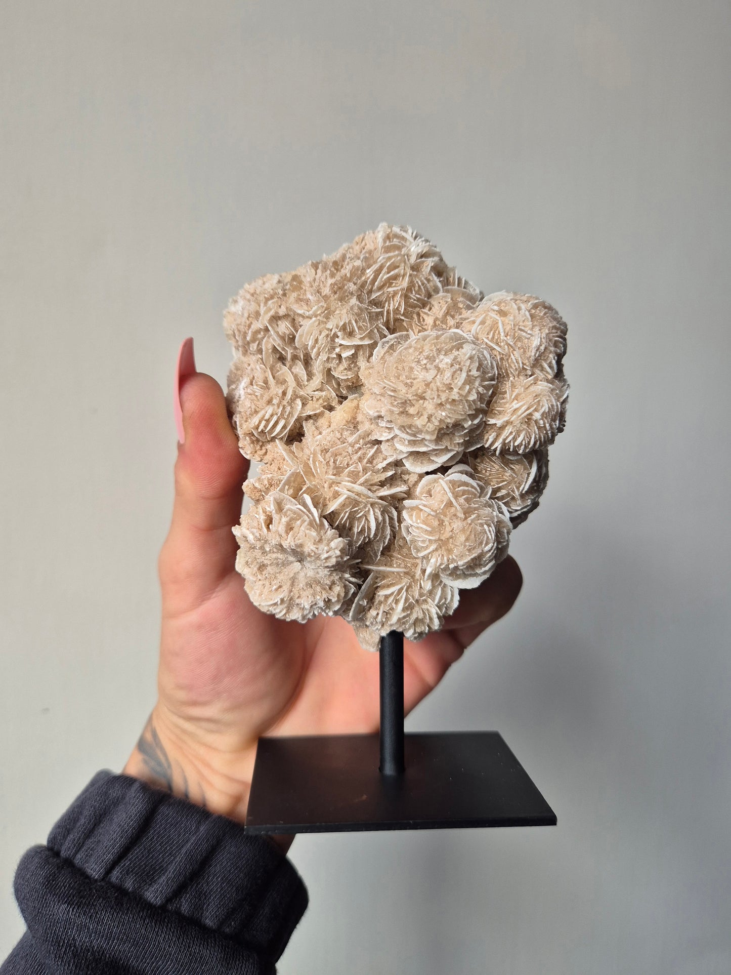 Woestijnroos op standaard