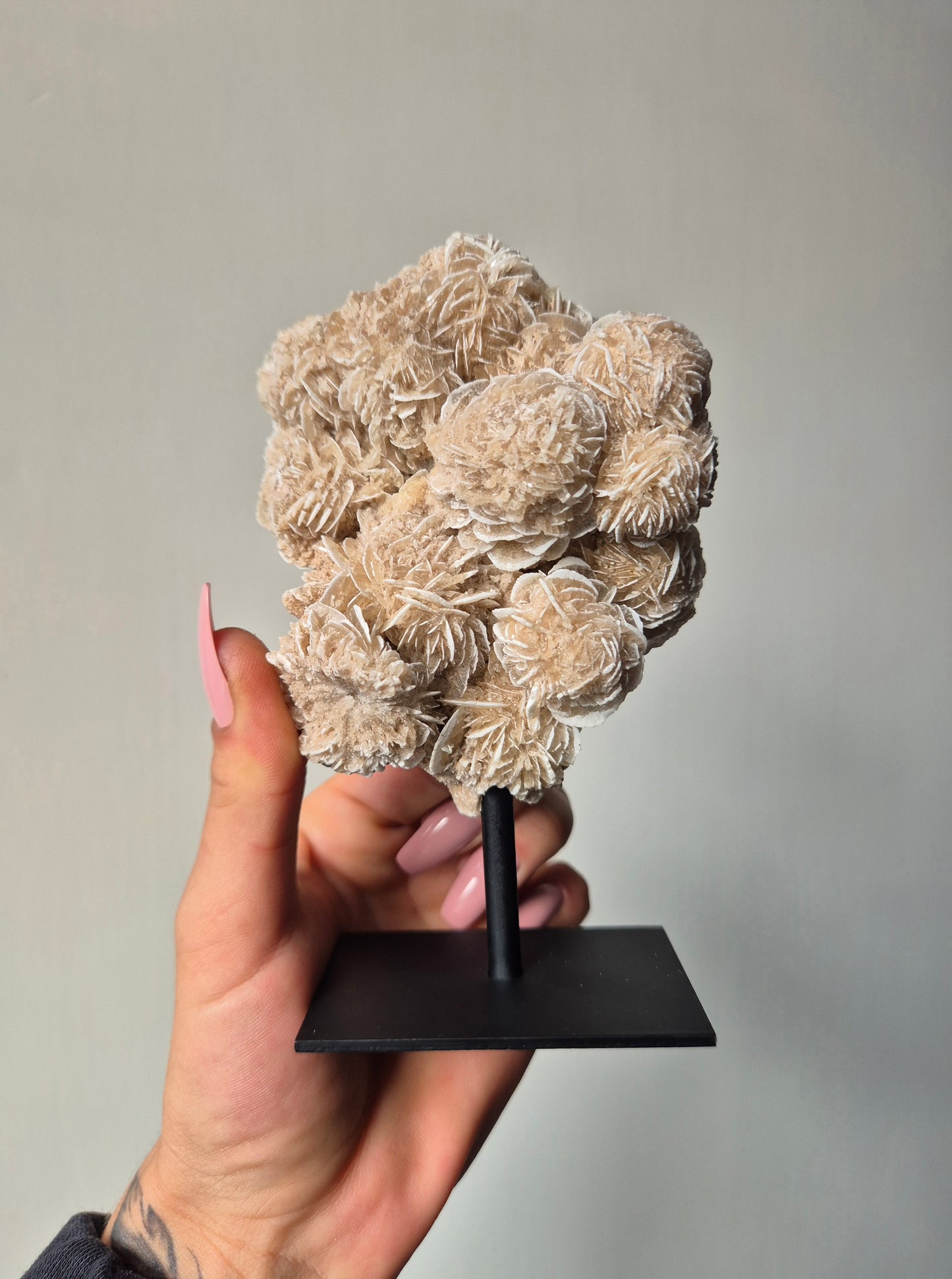 Woestijnroos op standaard