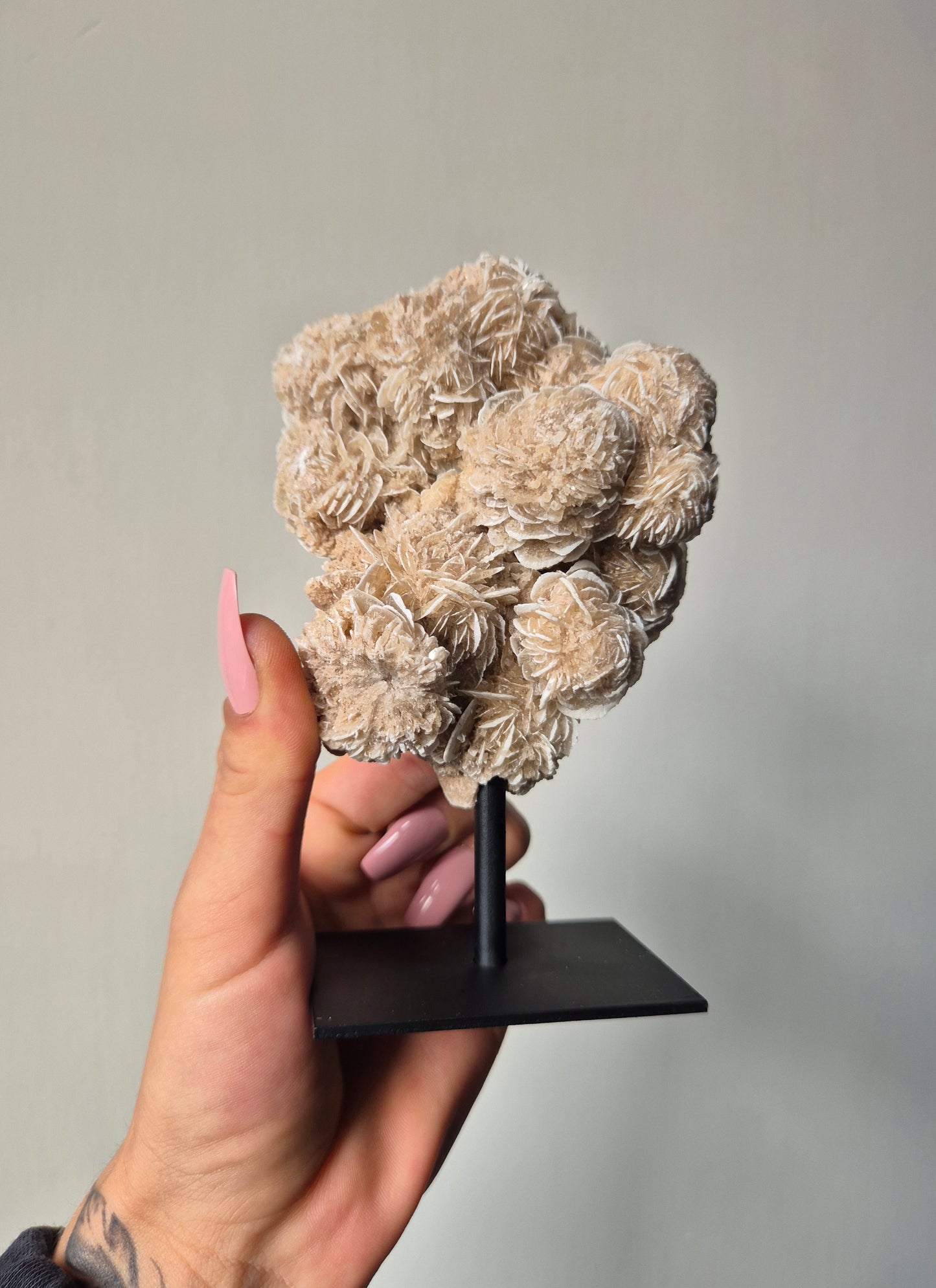 Woestijnroos op standaard